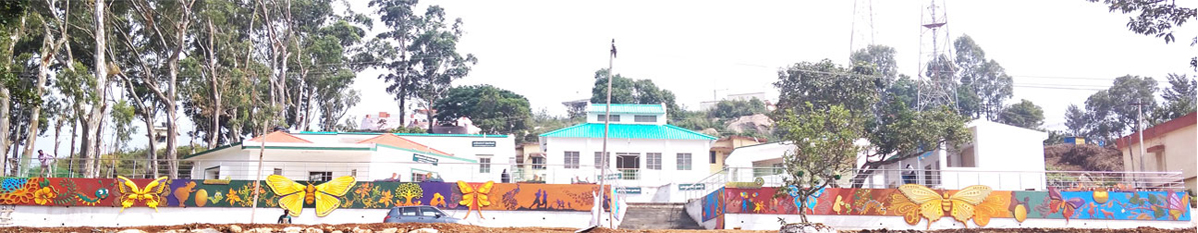 Chennai Arts sericulture-yercaud